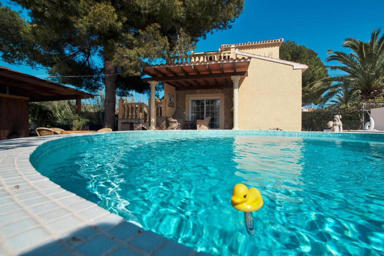דניה Villa Eliza מראה חיצוני תמונה