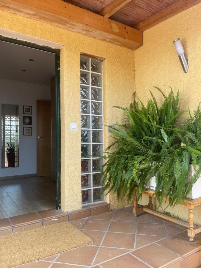 דניה Villa Eliza מראה חיצוני תמונה