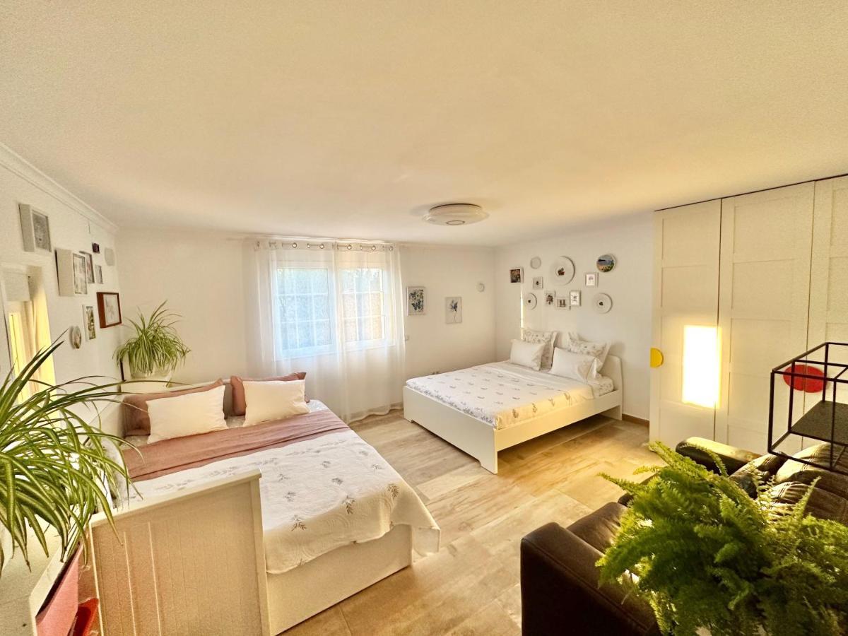 דניה Villa Eliza מראה חיצוני תמונה