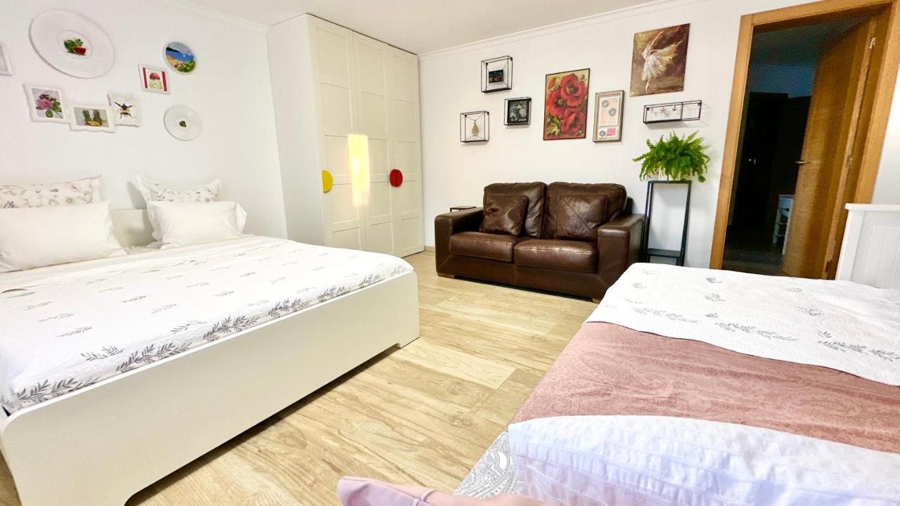 דניה Villa Eliza מראה חיצוני תמונה