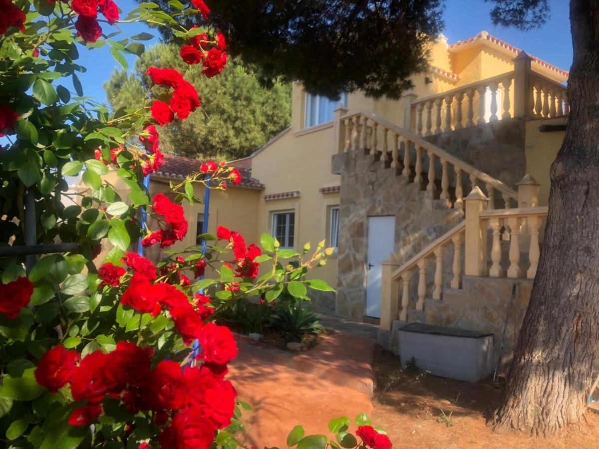דניה Villa Eliza מראה חיצוני תמונה