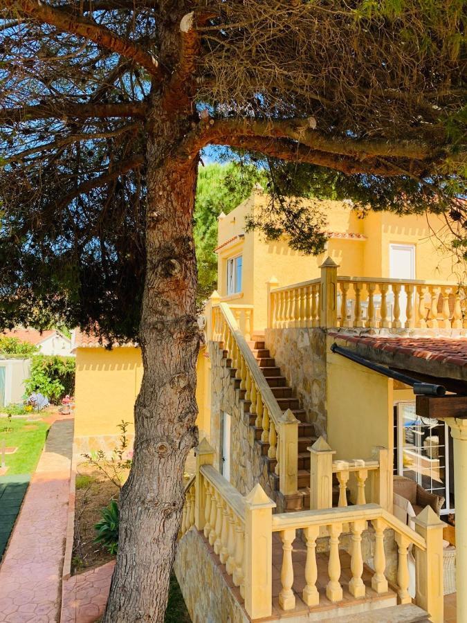 דניה Villa Eliza מראה חיצוני תמונה